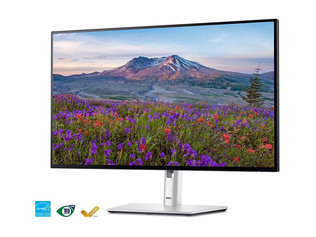 Dell UltraSharp 27 Monitor - U2724D 68.47cm (27)