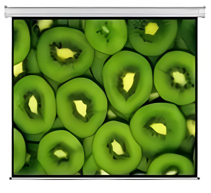 Esquire Electric Projector Screen 300 x 169, showcasing its large display and sleek design for immersive viewing.