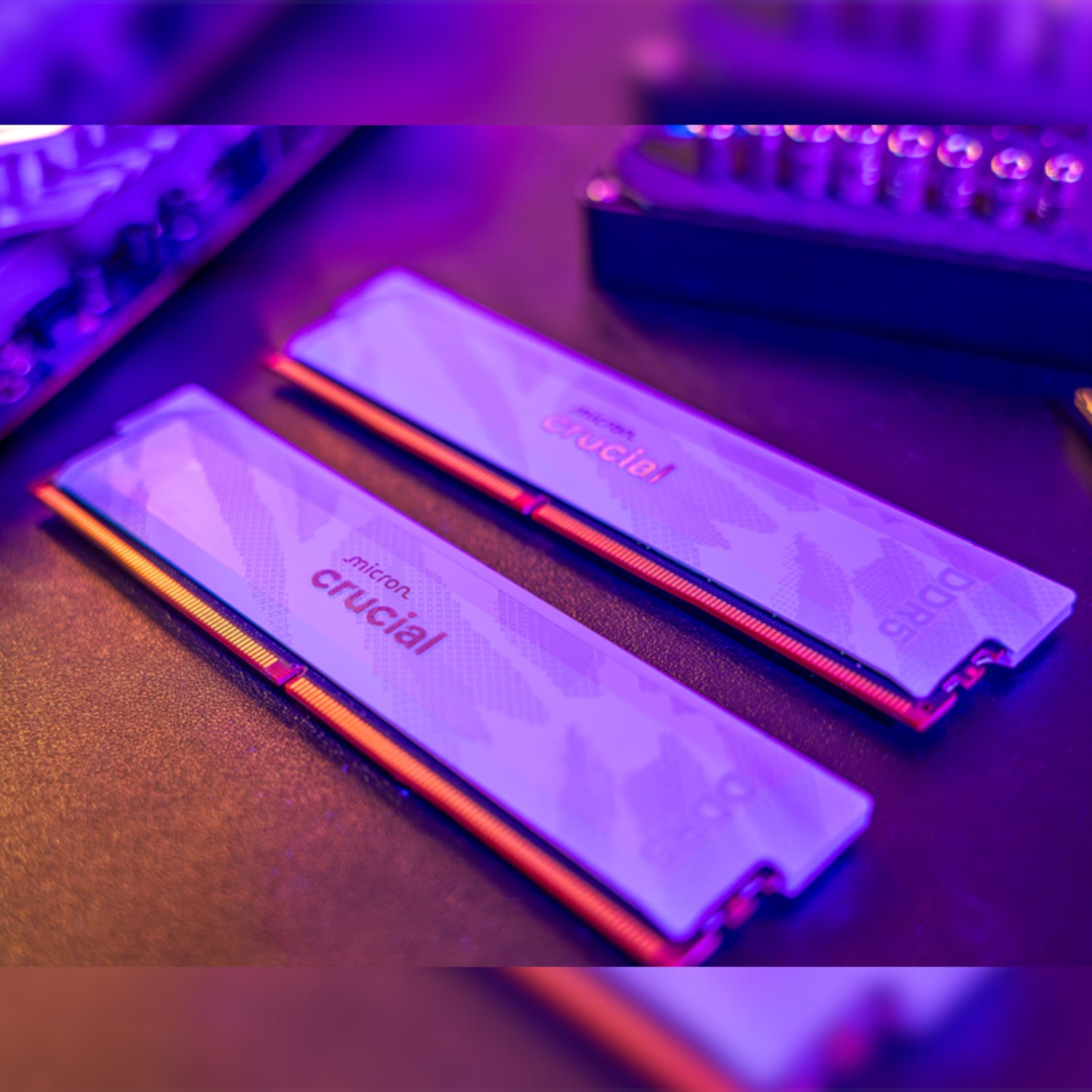 Crucial Pro Overclocking DDR5-6400 32GB Desktop Gaming Memory Kit (16GB x 2) – White