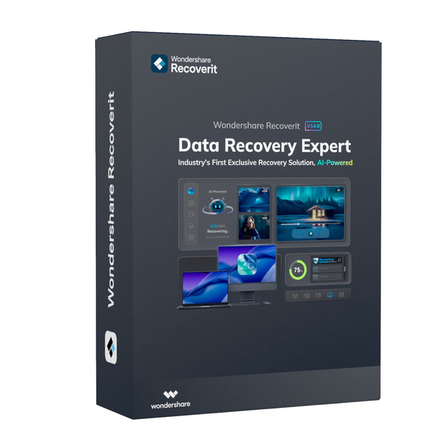 Wondershare Recoverit Data Recovery Expert for Windows Individual (Digital Perpetual License)