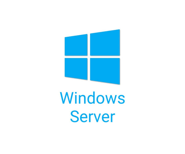 Dell Windows Server 2025/2022 User CALs 50-Pack (Standard or Datacenter)